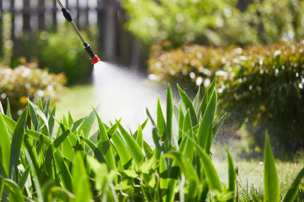 24/7 Emergency Mosquito Control experts in Hanley Hills, MO