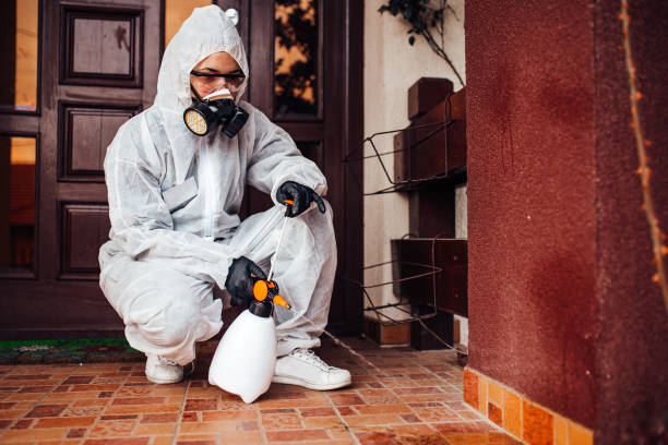 Reliable Mosquito Control contractor in Hanley Hills, MO by Show Me Pest Control